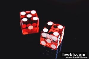 AG真人 livebli